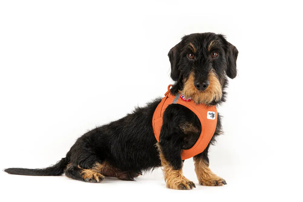 Curli Air Mesh Clasp Vest Harness Ultra lightweight in many colors